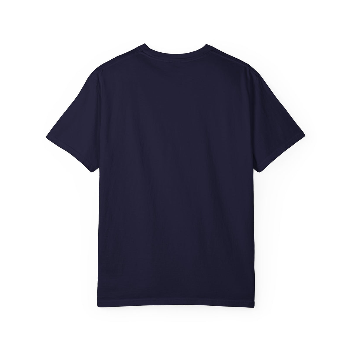 Home: God's First Classroom | Everyday Grace Garment-Dyed T-Shirt | Comfort Colors 1717