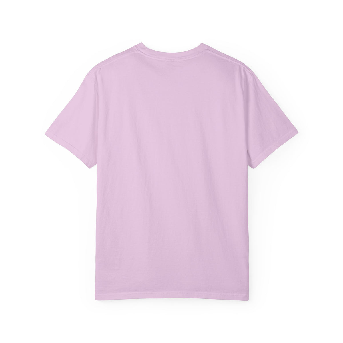 Home: God's First Classroom | Everyday Grace Garment-Dyed T-Shirt | Comfort Colors 1717