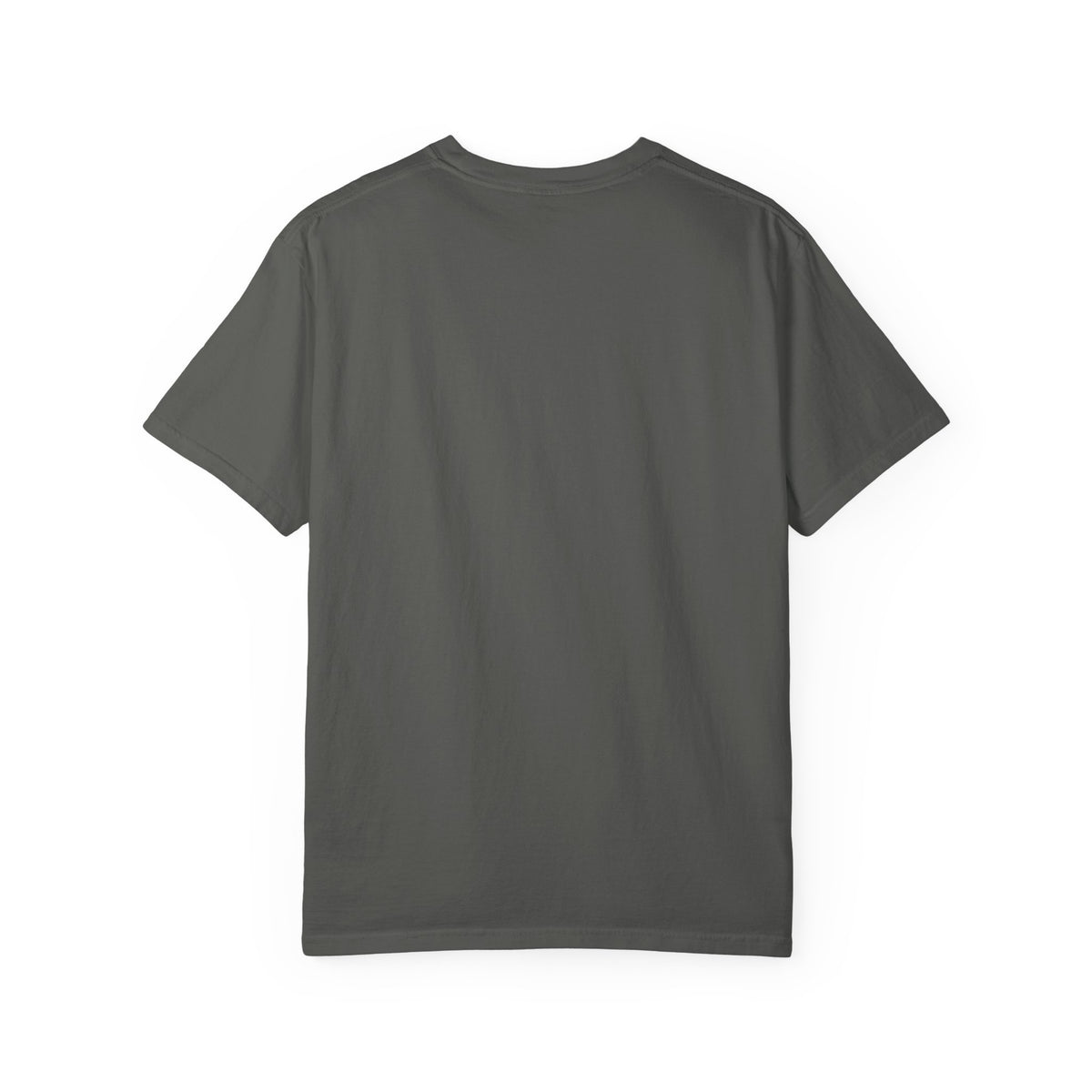 Home: God's First Classroom | Everyday Grace Garment-Dyed T-Shirt | Comfort Colors 1717