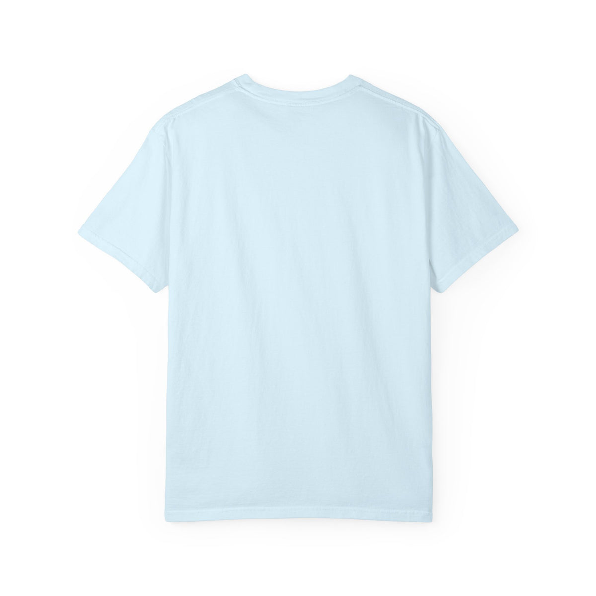Home: God's First Classroom | Everyday Grace Garment-Dyed T-Shirt | Comfort Colors 1717