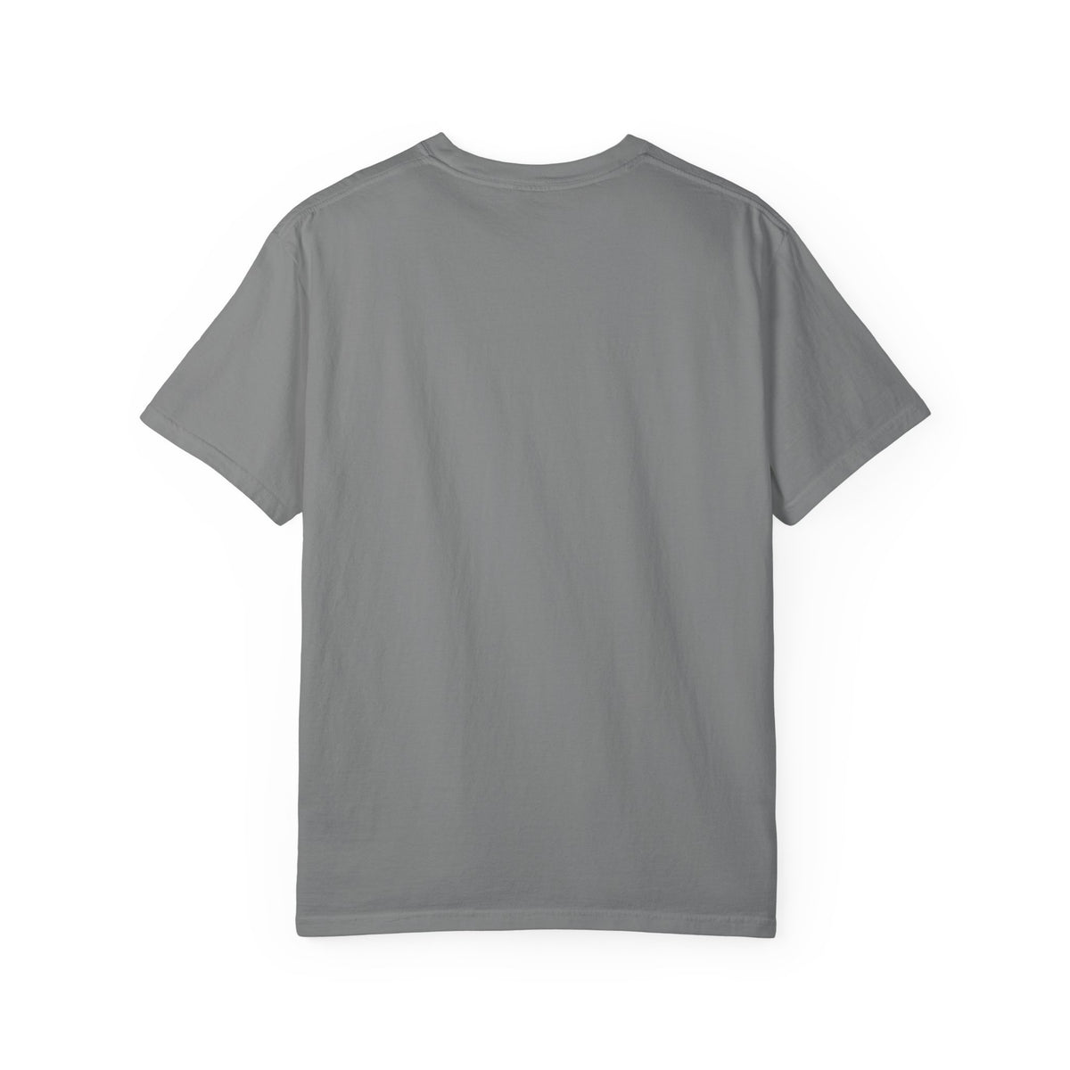 Home: God's First Classroom | Everyday Grace Garment-Dyed T-Shirt | Comfort Colors 1717
