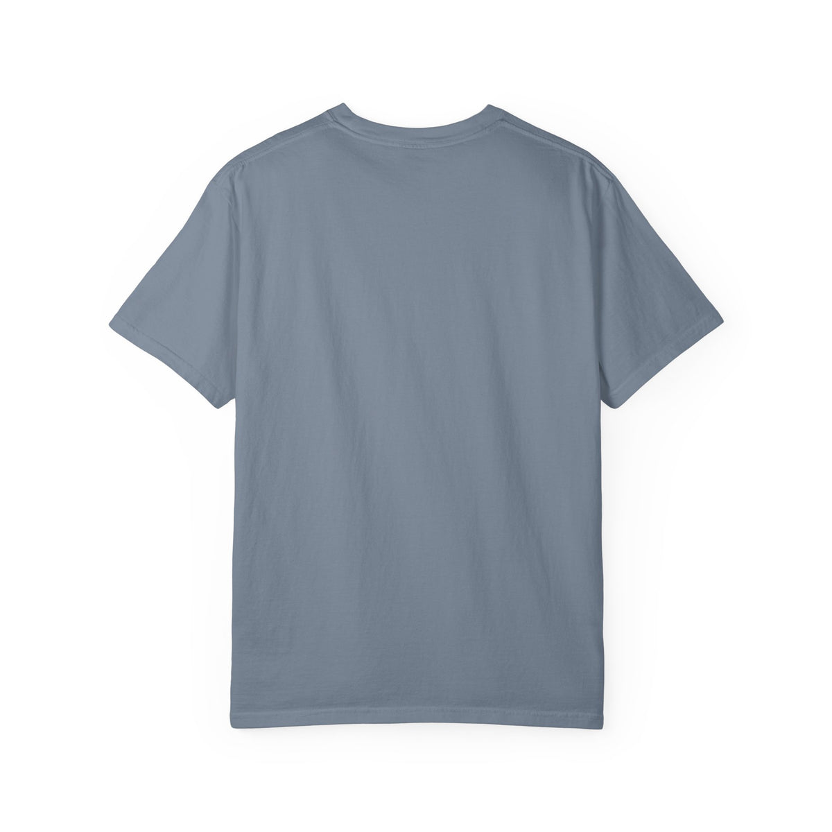 Home: God's First Classroom | Everyday Grace Garment-Dyed T-Shirt | Comfort Colors 1717