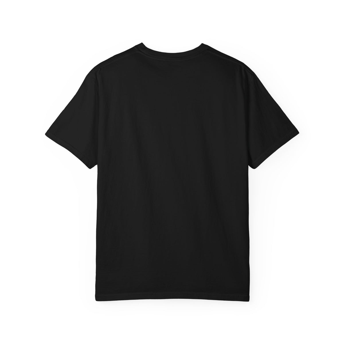 Home: God's First Classroom | Everyday Grace Garment-Dyed T-Shirt | Comfort Colors 1717