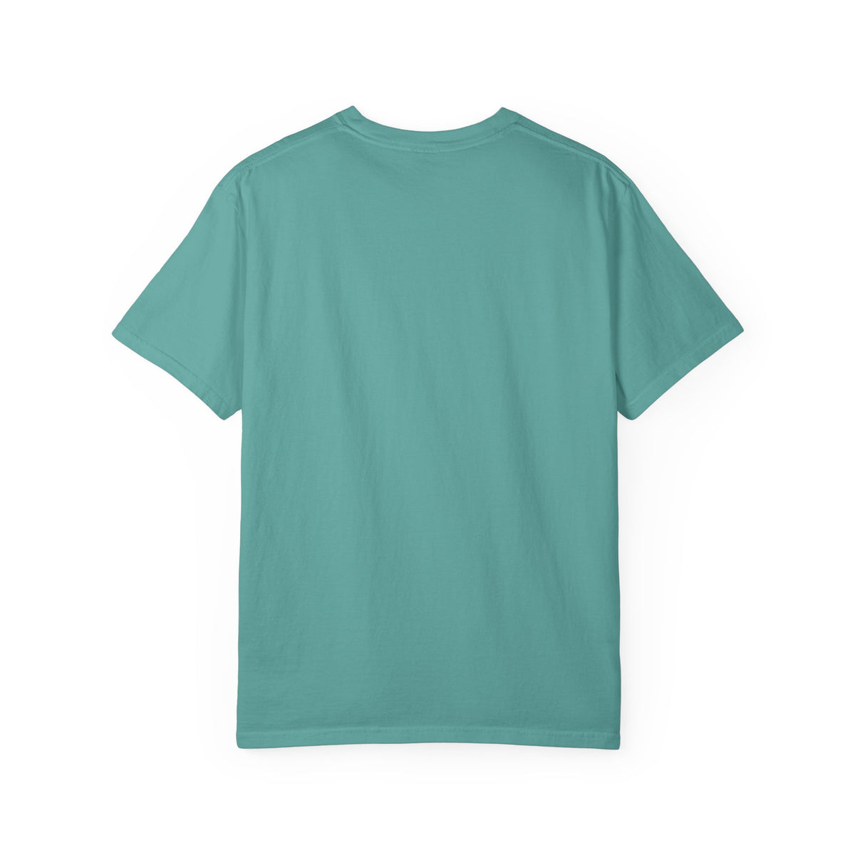 Home: God's First Classroom | Everyday Grace Garment-Dyed T-Shirt | Comfort Colors 1717